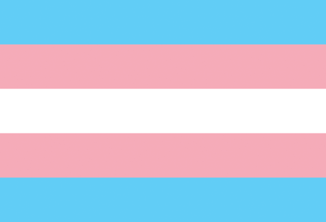 Transgender flag. The pink and blue represent an association with transfeminity or transmasculinity, respectively. The white stripe represents people who do not identify within the gender binary. 