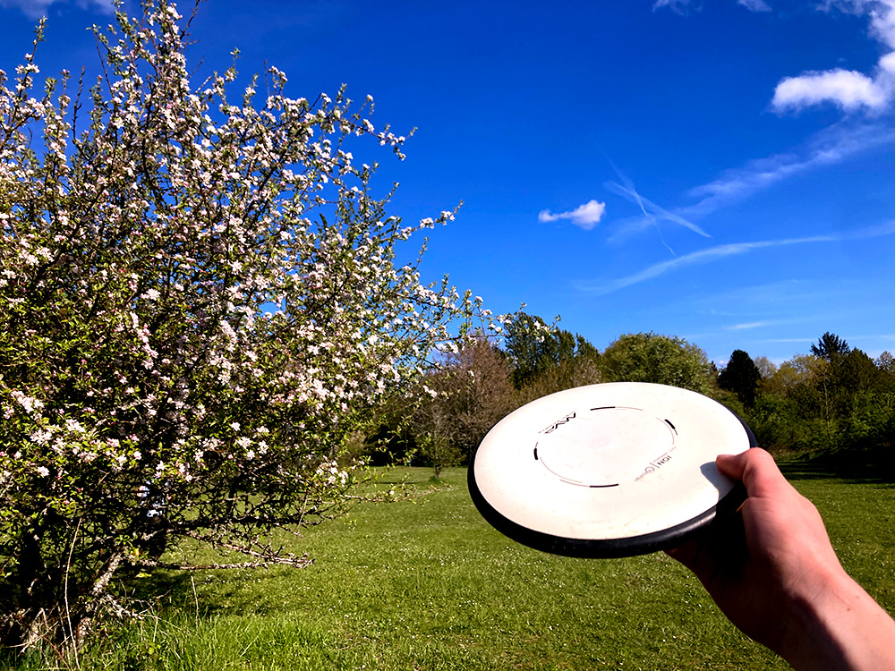 Blue skies overlook a beautiful field with flowers to each side of hole nine at Blue Lake Disc Golf Course. This spot is great for views and outdoor activities. If you ask around, you are sure to find spots you didn’t even know existed.