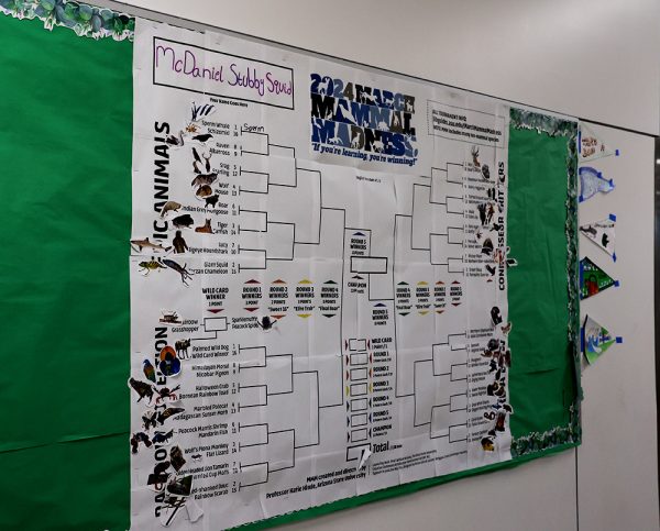 During the tournament, there was a bracket in the science hallway so students were able to follow the tournament. As March Mammal Madness wrapped up, students could see how the tournament ended.