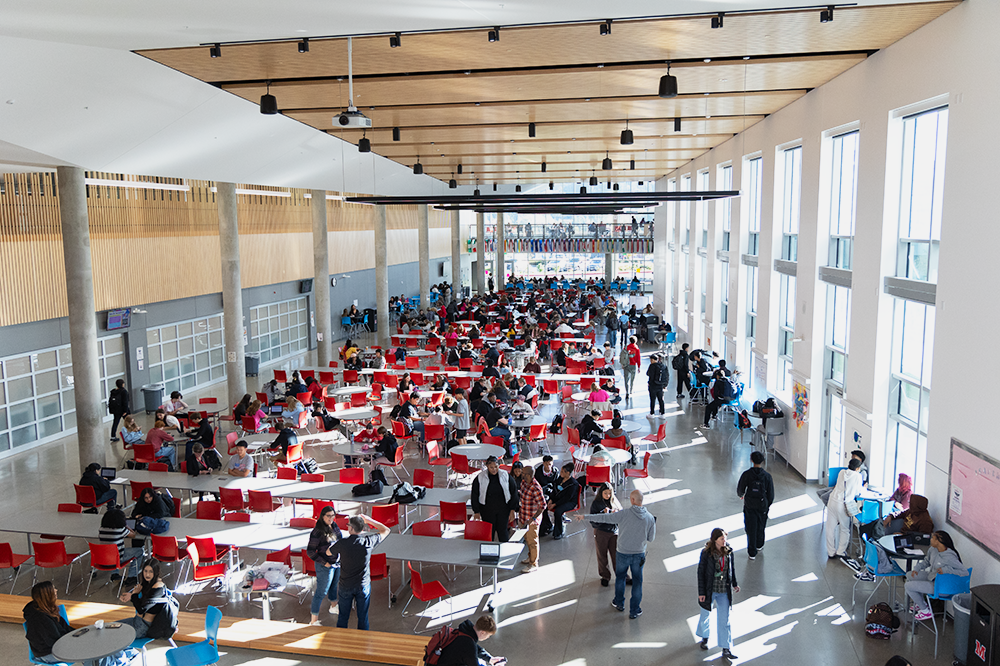 Students occupy the commons during Flex. Many work on assignments and socialize with others as they don't have a class they need support in.