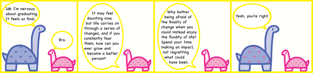 Primary Turtles Graduate