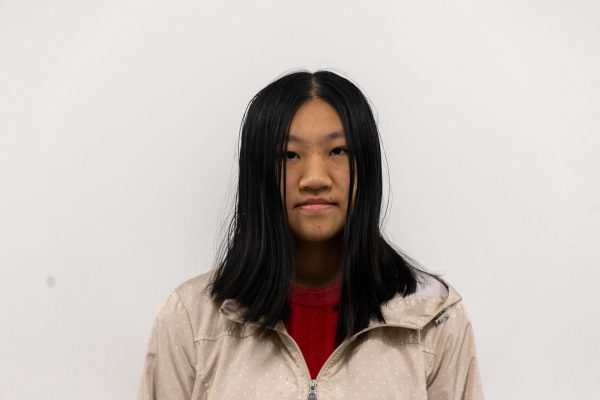 Wanying Liu