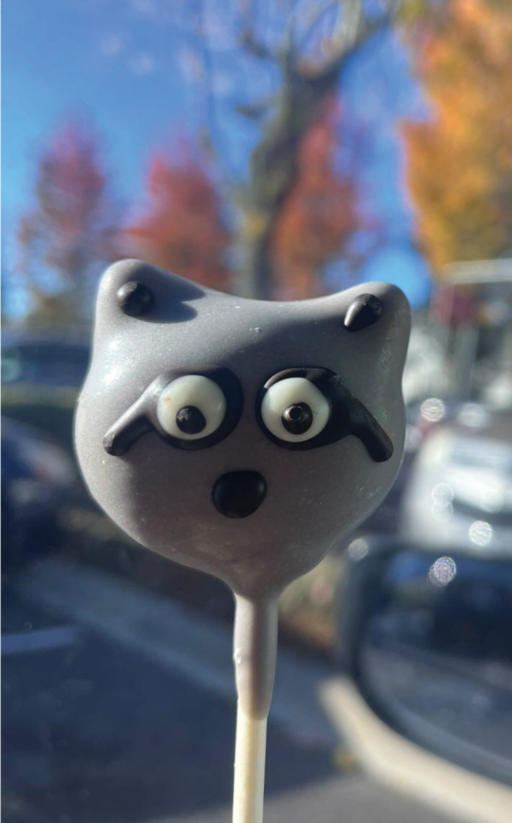 Raccoon cake pops from Starbucks. This is a seasonal item from their fall menu.