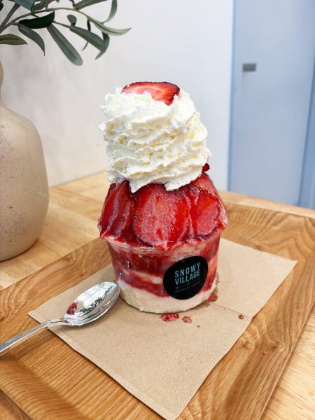 This is the before picture of the yummy, sweet and fluffy strawberry Korean shaved ice from Snowy Village on SW park Ave. The treat is magical and was an exciting experience all around.
